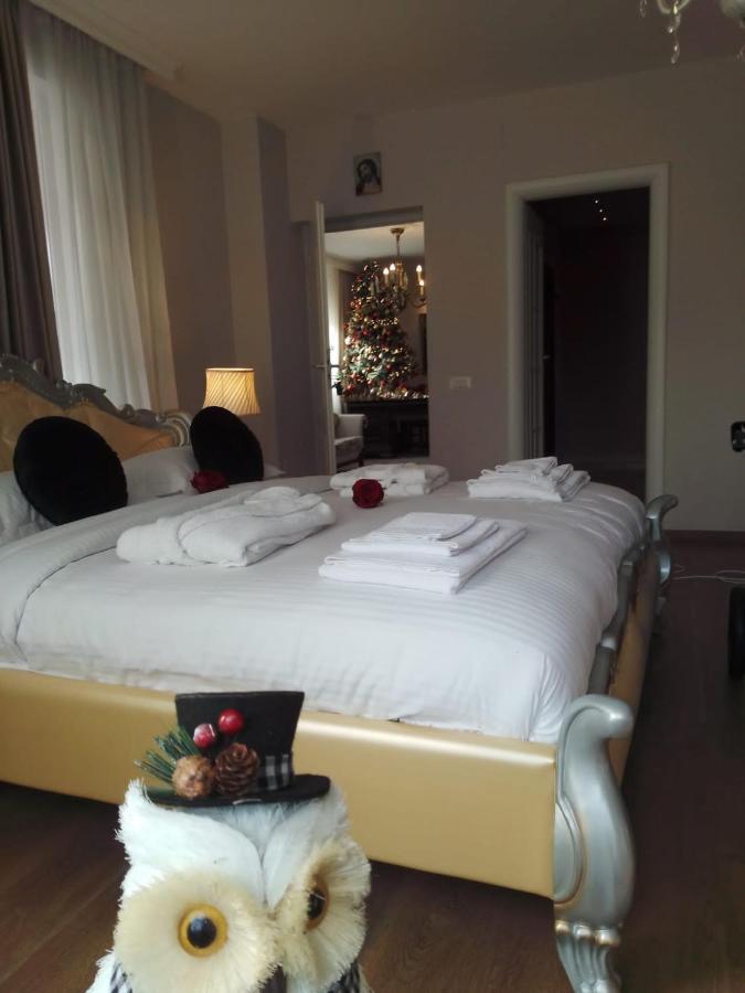 Casa Maria Roses Otel Rîşnov Dış mekan fotoğraf