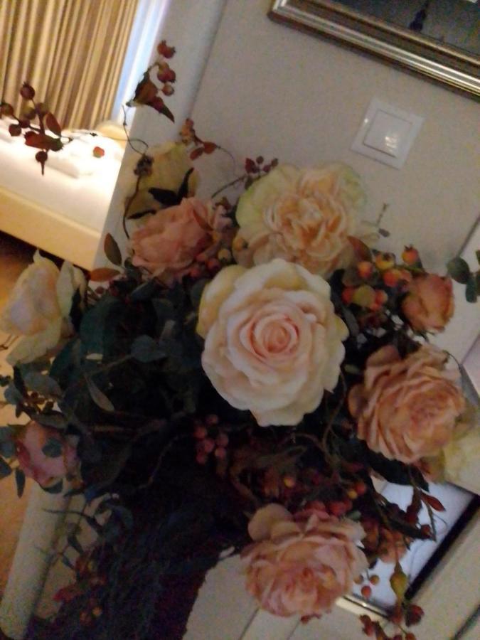 Casa Maria Roses Otel Rîşnov Dış mekan fotoğraf