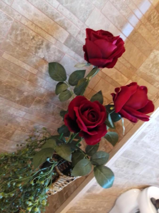 Casa Maria Roses Otel Rîşnov Dış mekan fotoğraf