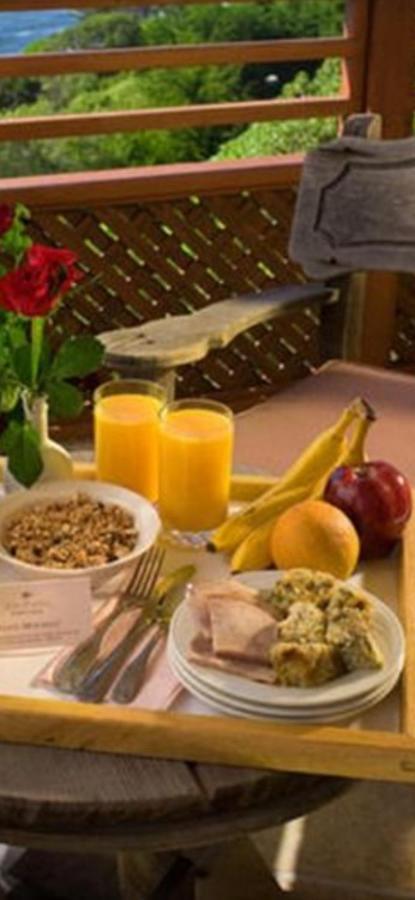 Casa Maria Roses Otel Rîşnov Dış mekan fotoğraf