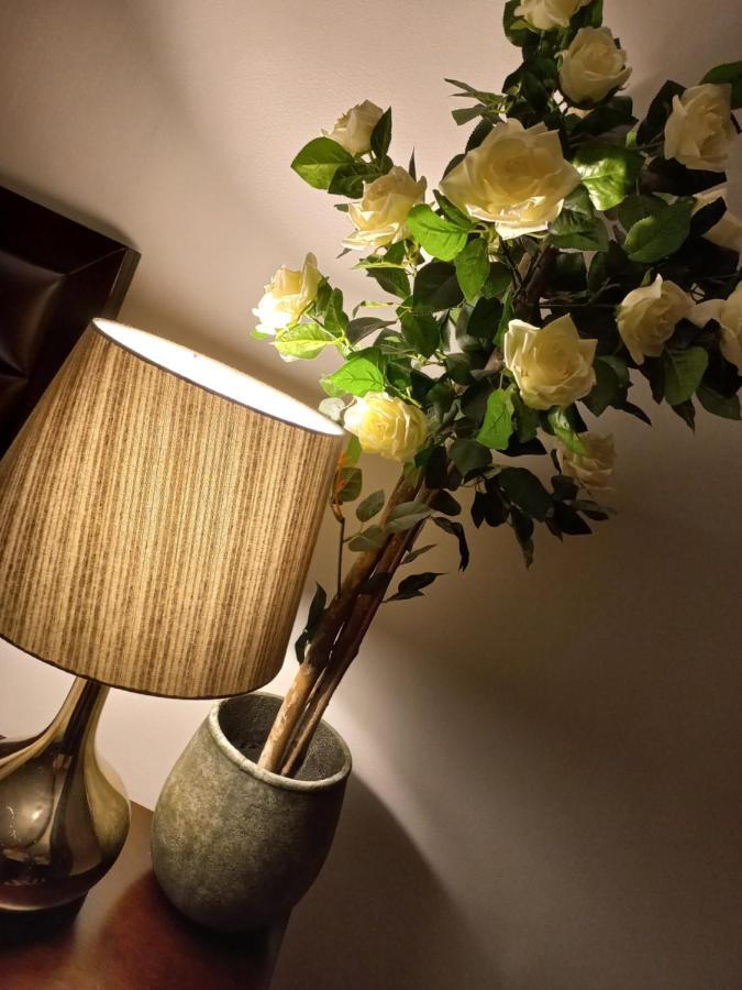Casa Maria Roses Otel Rîşnov Dış mekan fotoğraf
