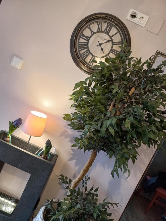 Casa Maria Roses Otel Rîşnov Dış mekan fotoğraf