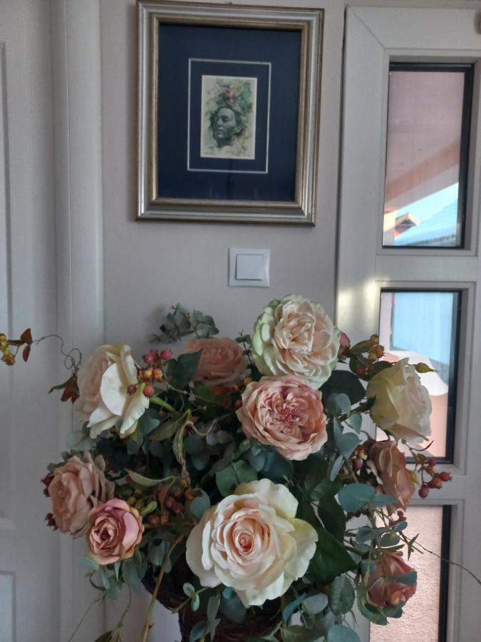 Casa Maria Roses Otel Rîşnov Dış mekan fotoğraf