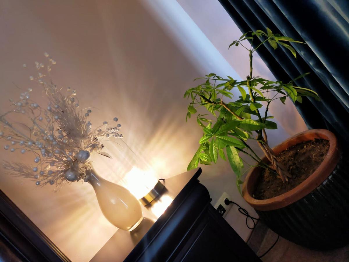 Casa Maria Roses Otel Rîşnov Dış mekan fotoğraf